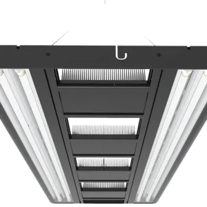 Giesemann STELLAR T5, irridium, 1800 mm - 4 x 80 W Preiswert